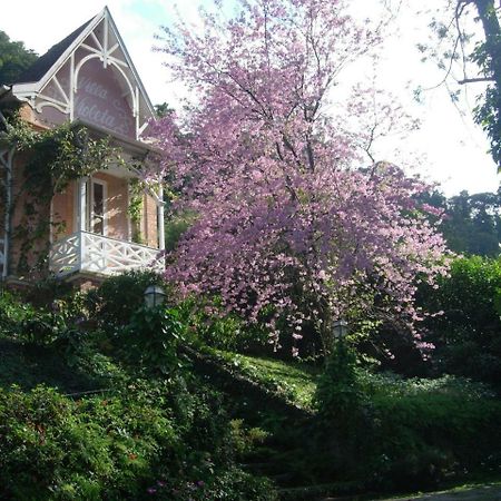 Villa Violeta Petrópolis エクステリア 写真