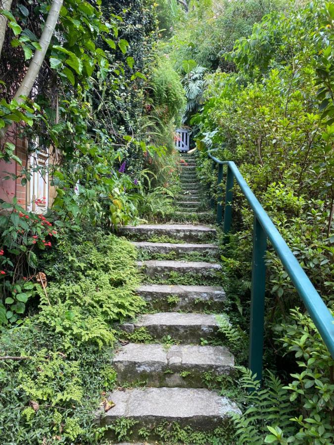 Villa Violeta Petrópolis エクステリア 写真