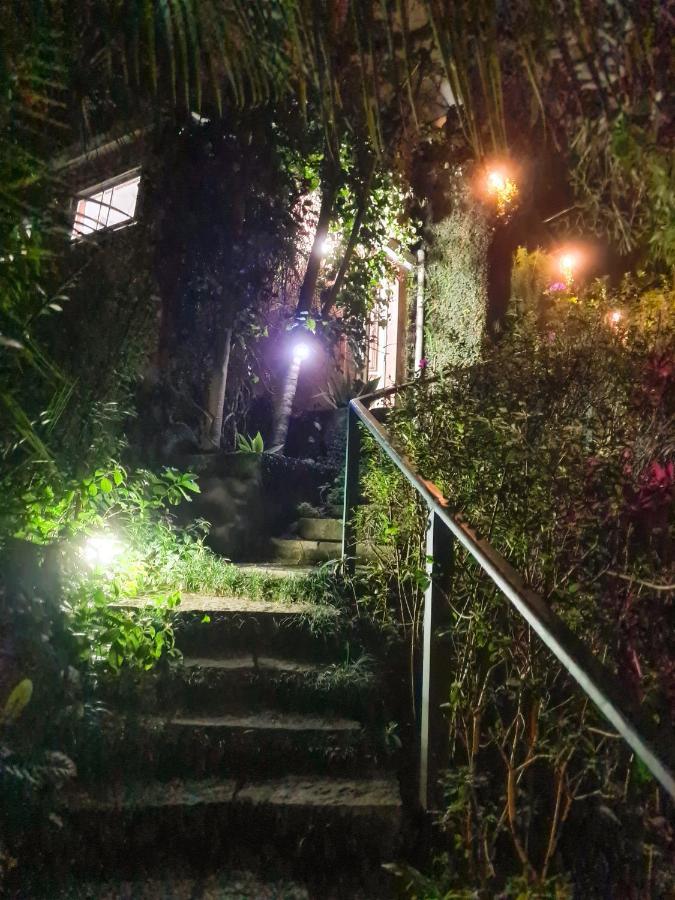 Villa Violeta Petrópolis エクステリア 写真
