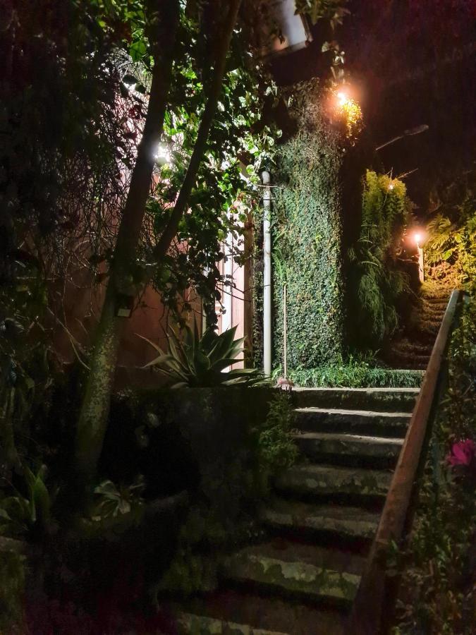 Villa Violeta Petrópolis エクステリア 写真