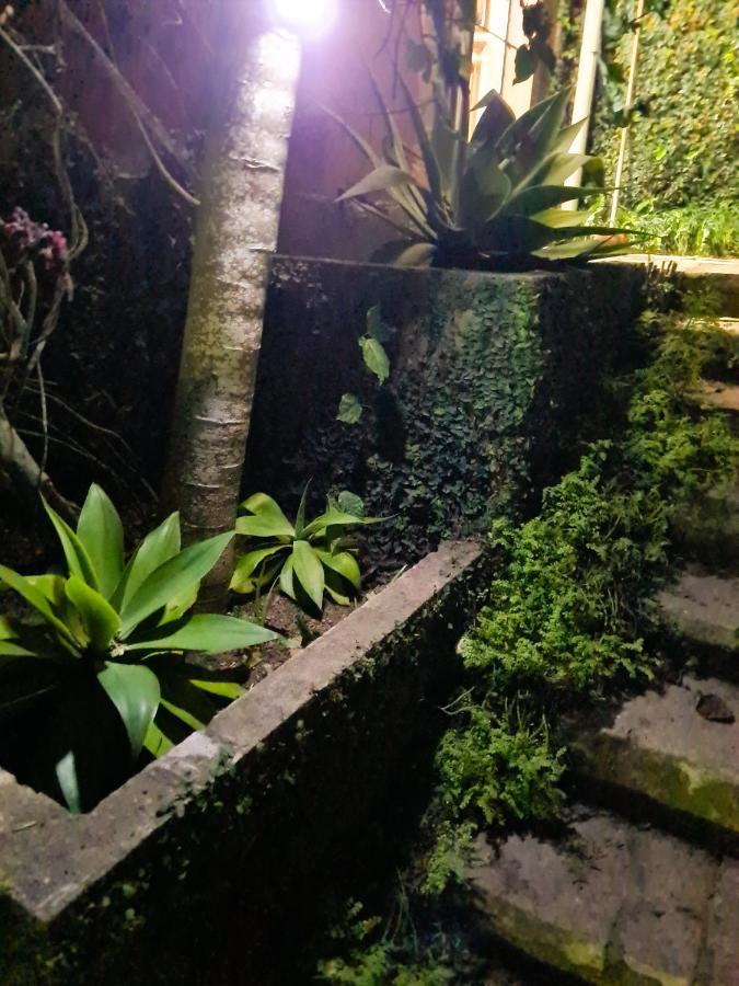 Villa Violeta Petrópolis エクステリア 写真