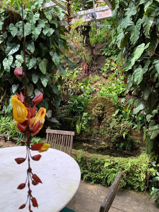 Villa Violeta Petrópolis エクステリア 写真