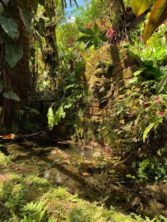 Villa Violeta Petrópolis エクステリア 写真