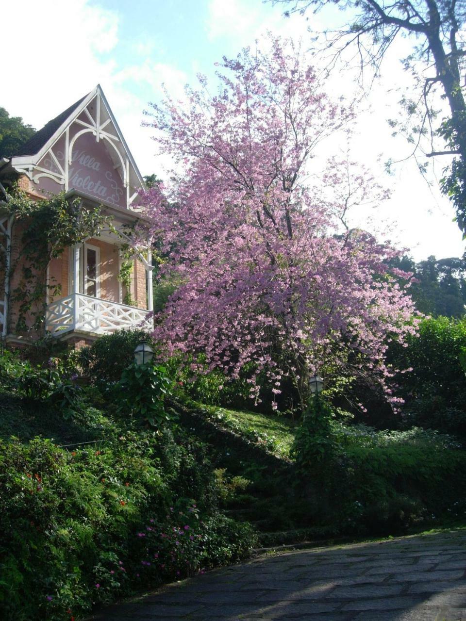 Villa Violeta Petrópolis エクステリア 写真