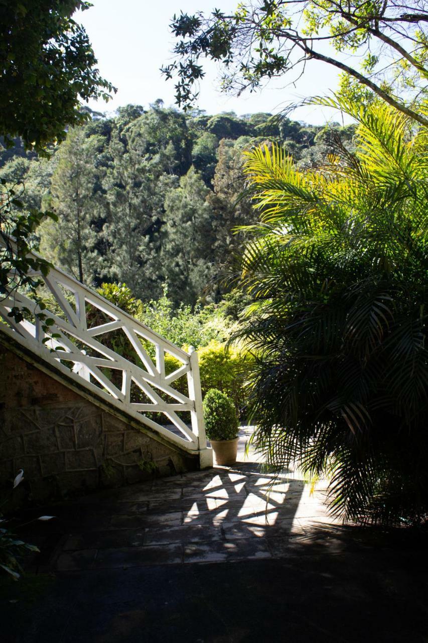 Villa Violeta Petrópolis エクステリア 写真