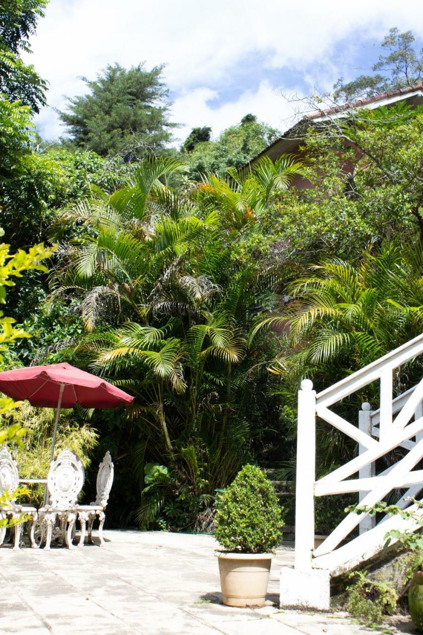 Villa Violeta Petrópolis エクステリア 写真