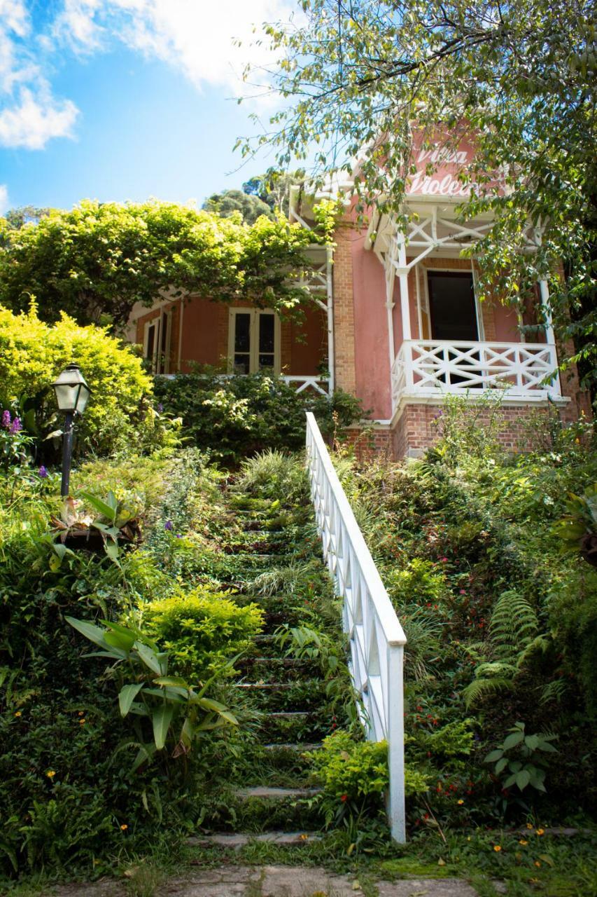 Villa Violeta Petrópolis エクステリア 写真