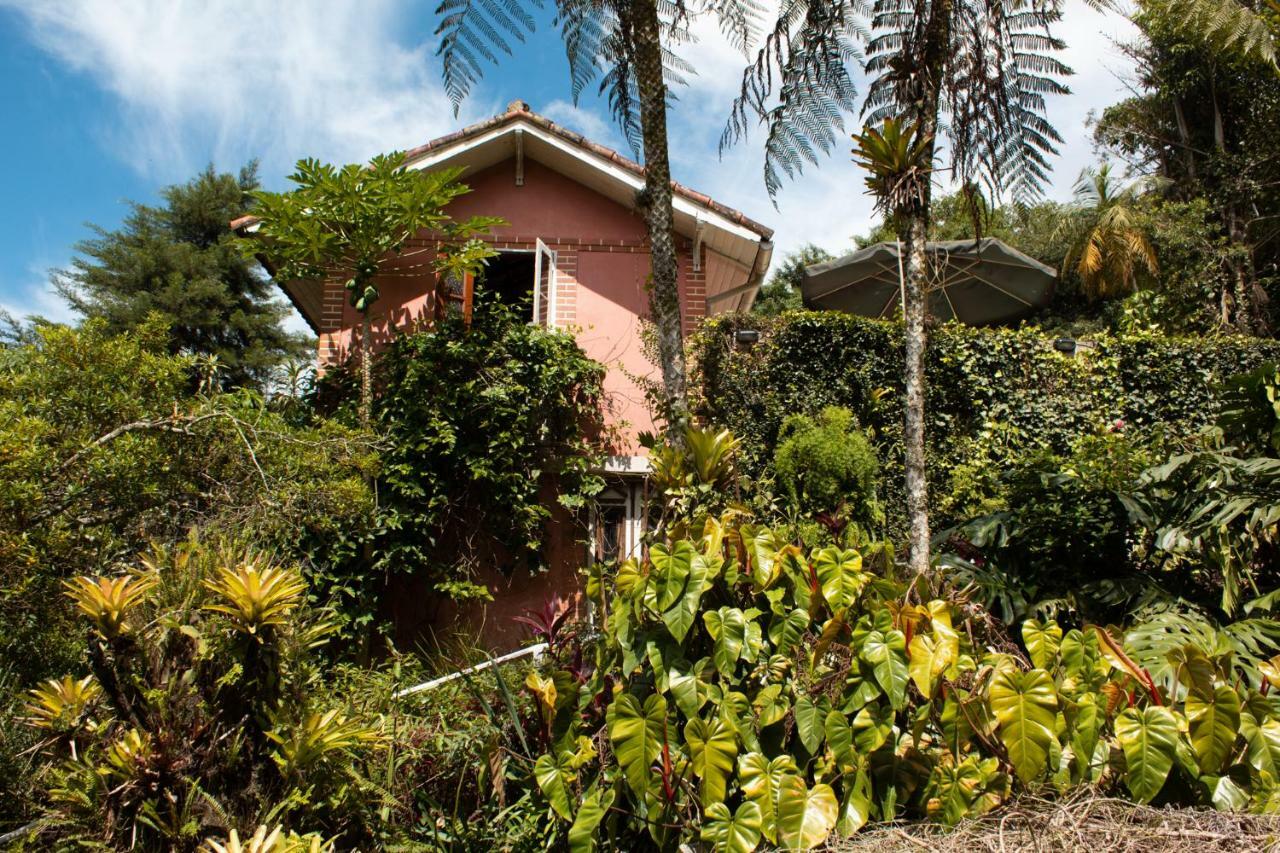 Villa Violeta Petrópolis エクステリア 写真